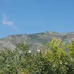 Sol